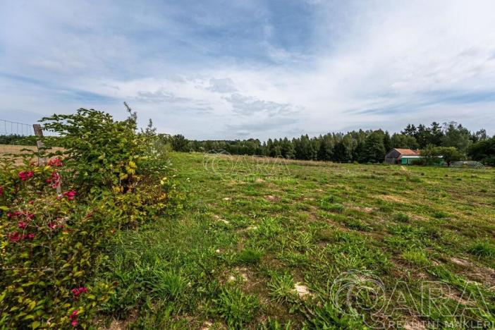 Prodej pozemku pro bydlení, Samšina, 22154 m2