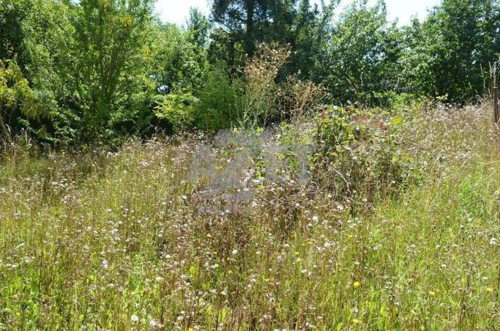 Prodej rodinného domu, Libina - Obědné, 160 m2