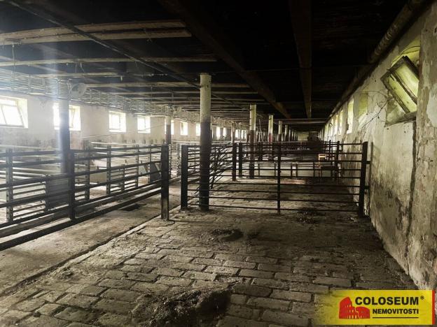 Prodej komerčního pozemku, Křižanovice u Vyškova, 5144 m2