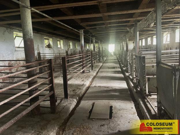 Prodej komerčního pozemku, Křižanovice u Vyškova, 5144 m2