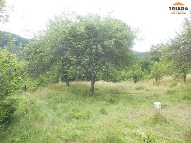 Prodej louky, Bozkov, 520 m2