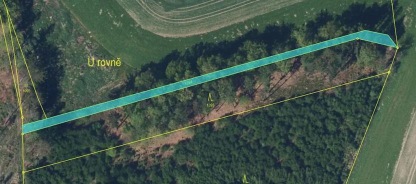 Prodej podílu lesa, Červený Kostelec, 4740 m2