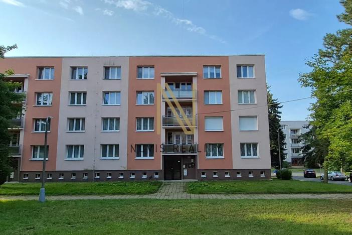 Pronájem bytu 2+1, Domažlice, Švabinského, 58 m2