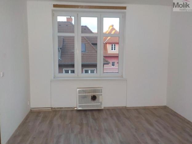 Pronájem bytu 1+1, Teplice - Trnovany, Havířská, 45 m2