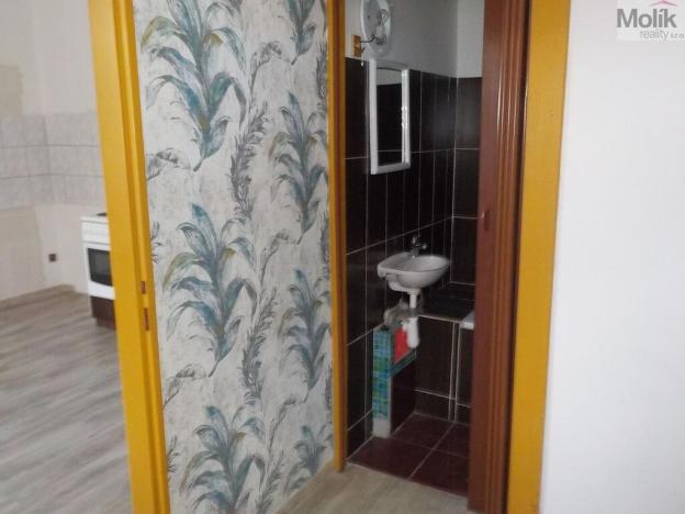 Pronájem bytu 1+1, Teplice - Trnovany, Havířská, 45 m2