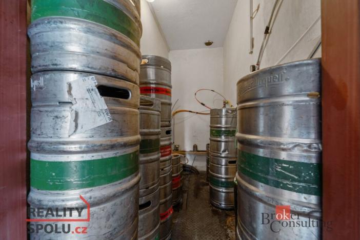 Prodej rodinného domu, Kostelec nad Orlicí, Mánesova, 90 m2