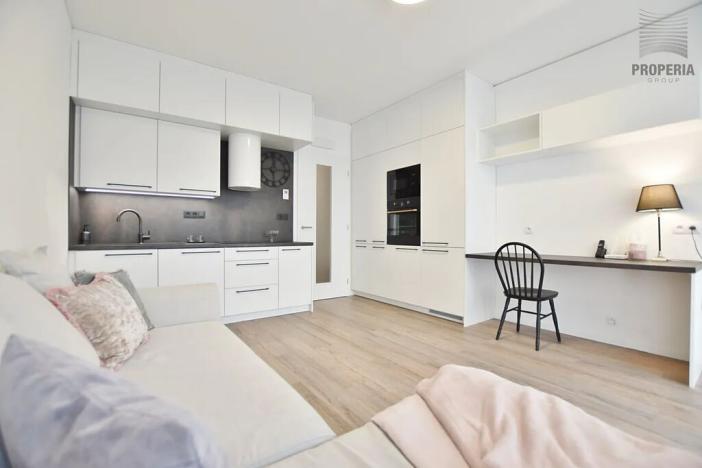Pronájem bytu 1+kk, Brno, Trnitá, 27 m2