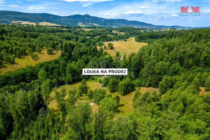 Prodej pozemku, Dlouhý Most, 8531 m2