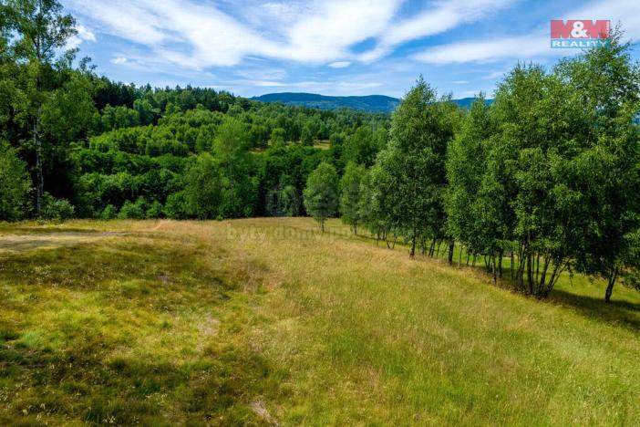 Prodej pozemku, Dlouhý Most, 8531 m2