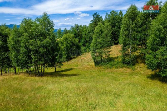 Prodej pozemku, Dlouhý Most, 8531 m2