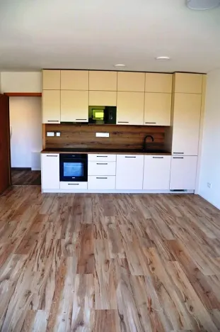 Prodej bytu 2+kk, Litomyšl, Z. Kopala, 50 m2