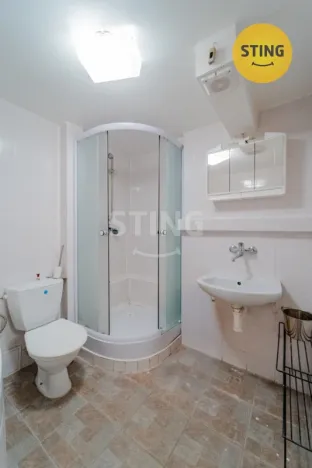 Prodej rodinného domu, Větřkovice, 497 m2