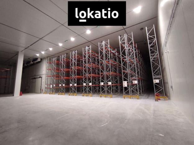 Pronájem skladu, Zdice, 500 m2