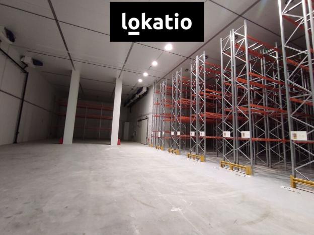 Pronájem skladu, Zdice, 500 m2