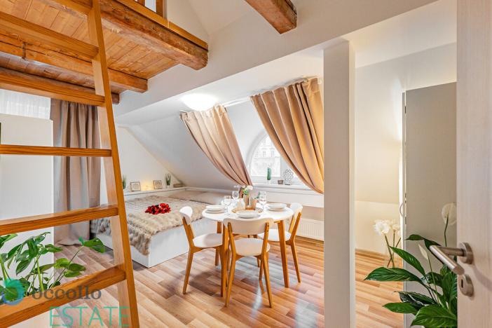 Pronájem apartmánu, Karlovy Vary, Petřín, 337 m2