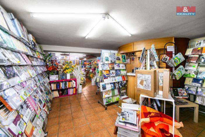 Pronájem obchodního prostoru, Domažlice - Dolejší Předměstí, Husova třída, 600 m2