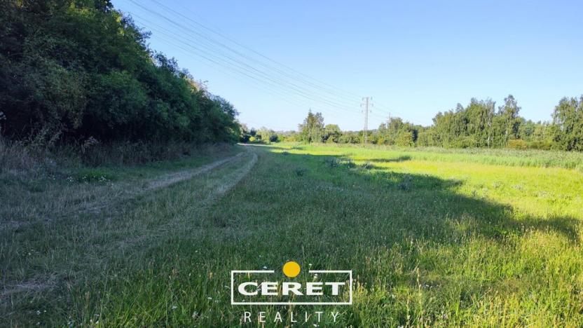 Prodej pole, Staňkovice - Tvršice, 45996 m2