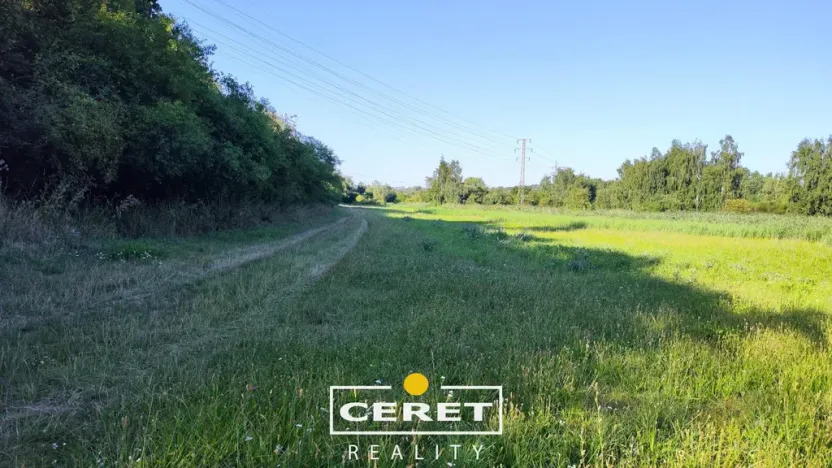 Prodej pole, Staňkovice - Tvršice, 45996 m2