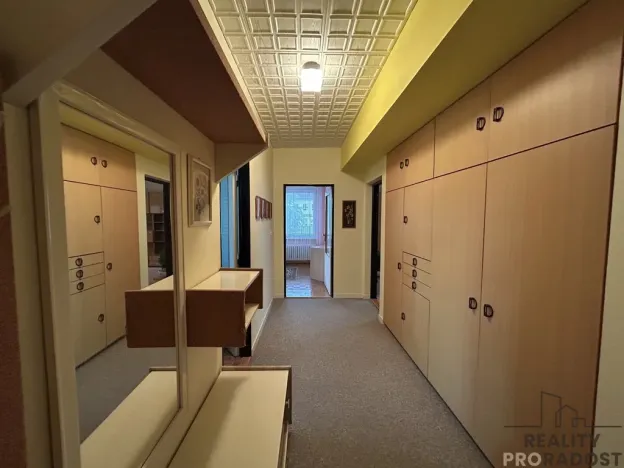 Pronájem bytu 3+1, Hodonín, B. Němcové, 89 m2