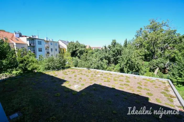 Pronájem bytu 3+kk, Brno, Řehořova, 83 m2