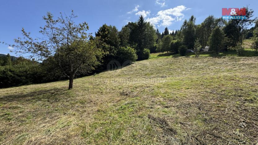 Prodej pozemku pro bydlení, Tanvald - Žďár, 1791 m2