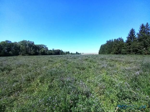 Prodej komerčního pozemku, Králova Lhota, 3444 m2