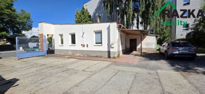 Pronájem výrobních prostor, Planá, Plzeňská, 249 m2