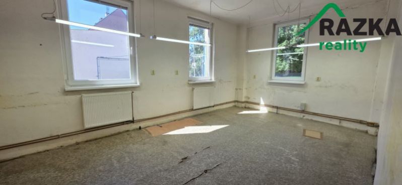 Pronájem výrobních prostor, Planá, Plzeňská, 249 m2