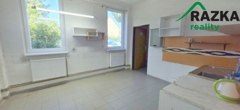 Pronájem výrobních prostor, Planá, Plzeňská, 249 m2