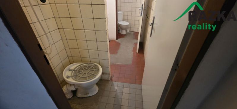 Pronájem výrobních prostor, Planá, Plzeňská, 249 m2