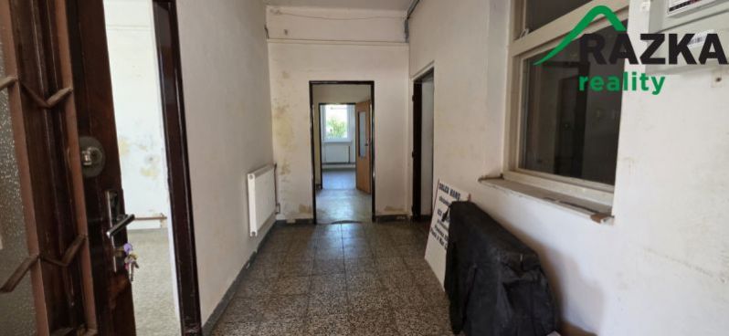 Pronájem výrobních prostor, Planá, Plzeňská, 249 m2