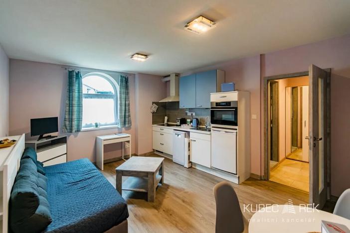 Pronájem bytu 2+kk, Sezimovo Ústí, Pod Kovosvitem, 43 m2
