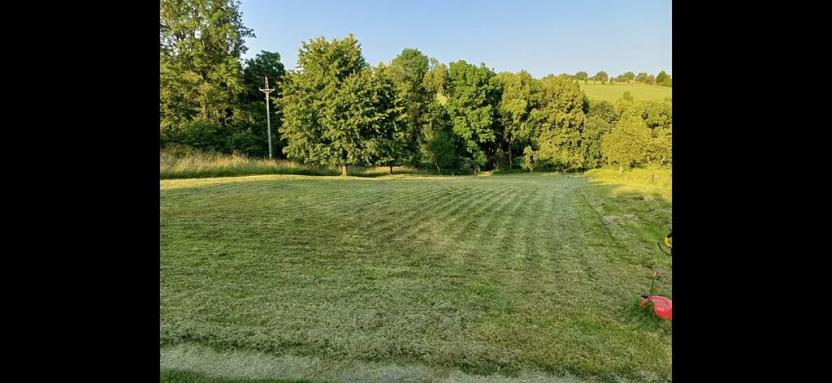 Prodej zahrady, Bařice-Velké Těšany, 1544 m2