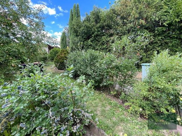 Prodej zahrady, Plzeň, Sluneční, 700 m2