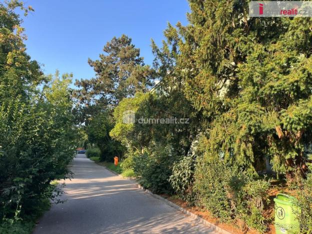 Pronájem bytu 2+1, Mladá Boleslav, Václavkova, 48 m2