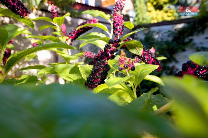 Prodej rodinného domu, Lovosice, L. Janáčka, 120 m2