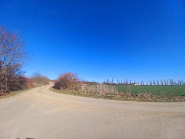 Prodej zahrady, Nýřany, 3351 m2