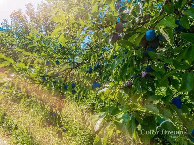 Prodej pozemku pro bydlení, Moravské Málkovice, 593 m2