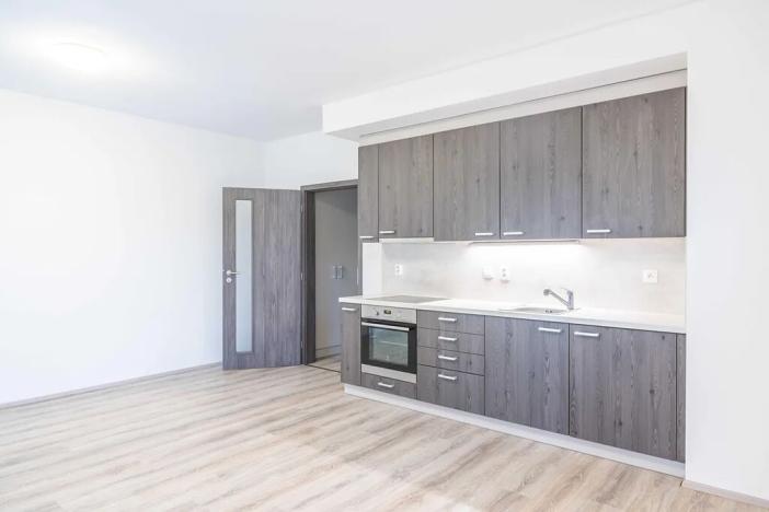 Pronájem bytu 1+kk, Heřmanova Huť, U Pondu, 34 m2