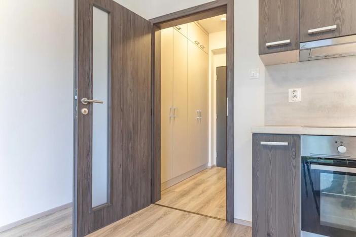 Pronájem bytu 1+kk, Heřmanova Huť, U Pondu, 34 m2