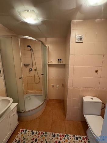 Pronájem bytu 2+kk, Bílina, Bezejmenná, 49 m2