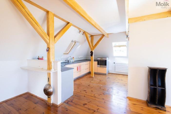 Prodej rodinného domu, Děčín - Děčín VI-Letná, Sofijská, 350 m2