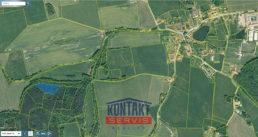 Prodej lesa, Hracholusky - Žitná, 6862 m2