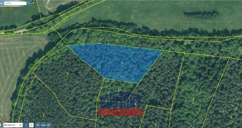 Prodej lesa, Hracholusky - Žitná, 6862 m2