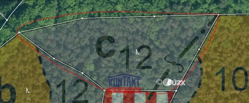 Prodej lesa, Hracholusky - Žitná, 6862 m2