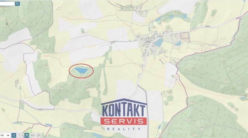 Prodej lesa, Hracholusky - Žitná, 6862 m2