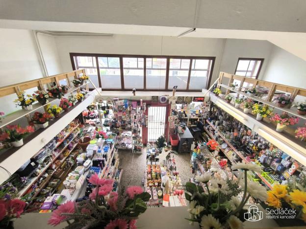 Prodej obchodního prostoru, Abertamy, Jáchymovská, 124 m2