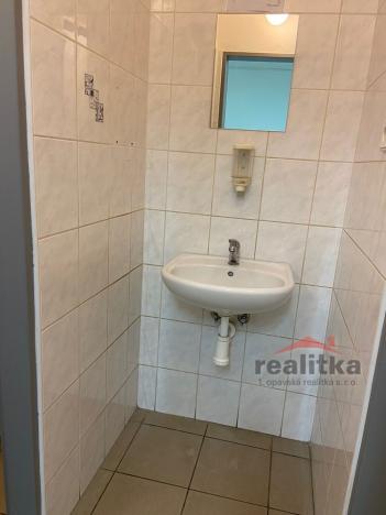 Pronájem obchodního prostoru, Opava - Předměstí, Sadová, 500 m2