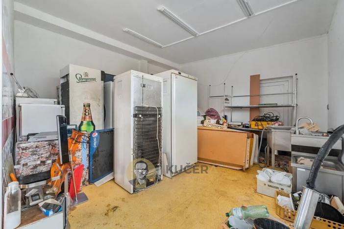 Prodej rodinného domu, Velká Chmelištná, 550 m2