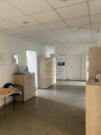 Pronájem kanceláře, Praha - Nové Město, Opletalova, 30 m2